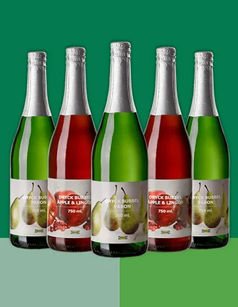 DRYCK sparkling drink bottles