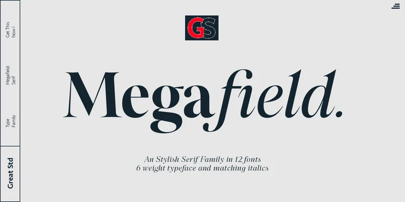 Megafield