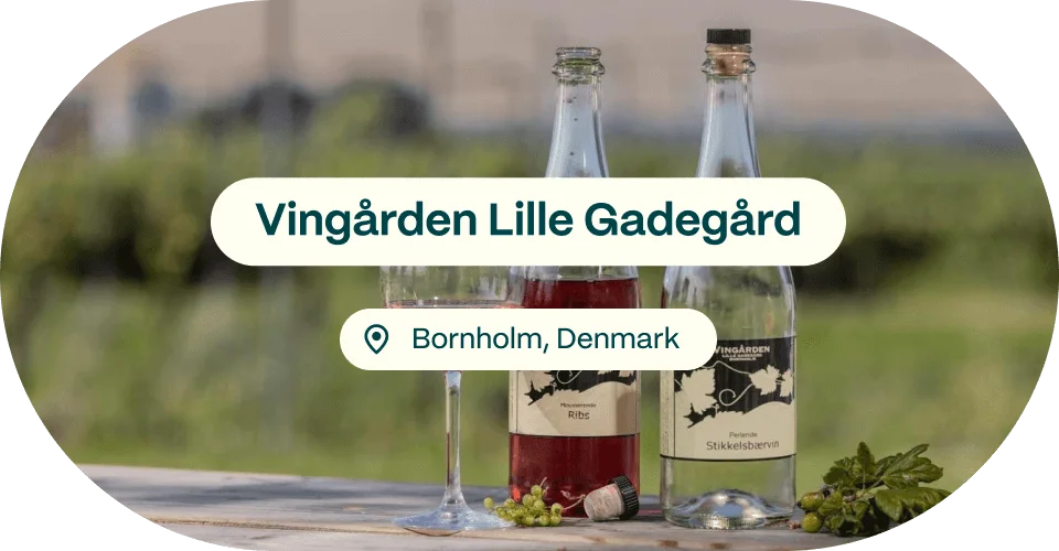 Vingården Lille Gadegård, Bornholm, Denmark
