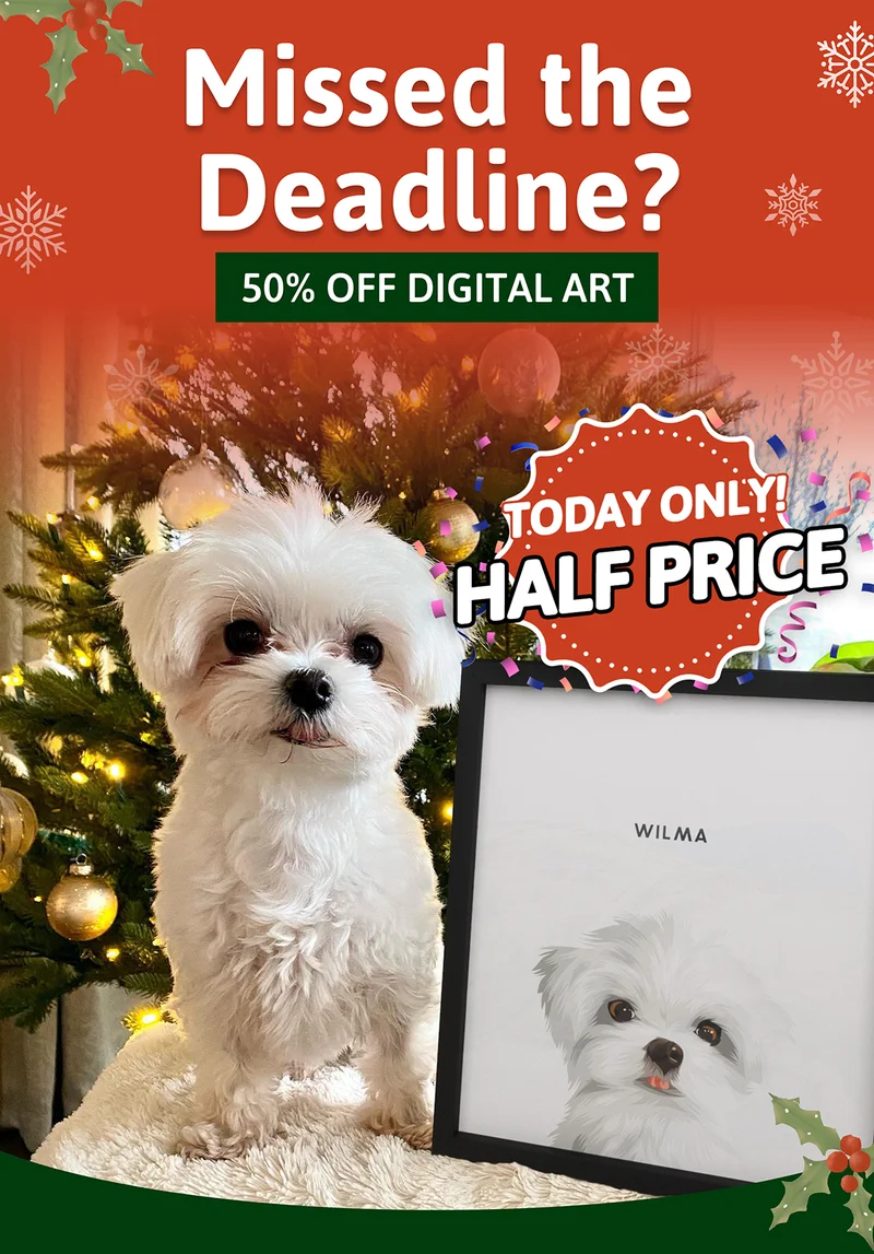 Missed the deadline? 50% off digital art