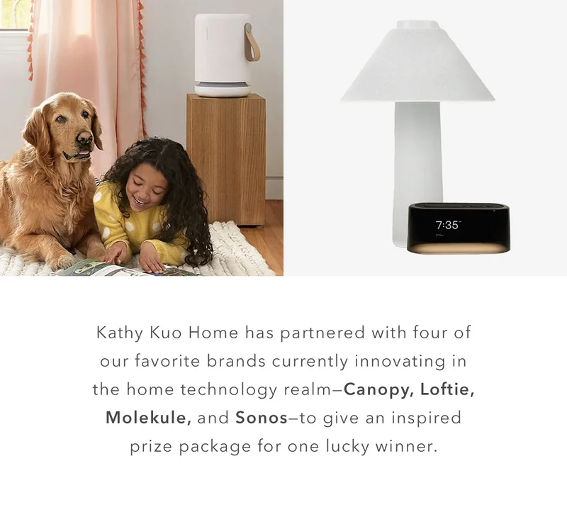 Prizes from Kathy Kuo Home, Canopy, Loftie, Molekule, and Sonos