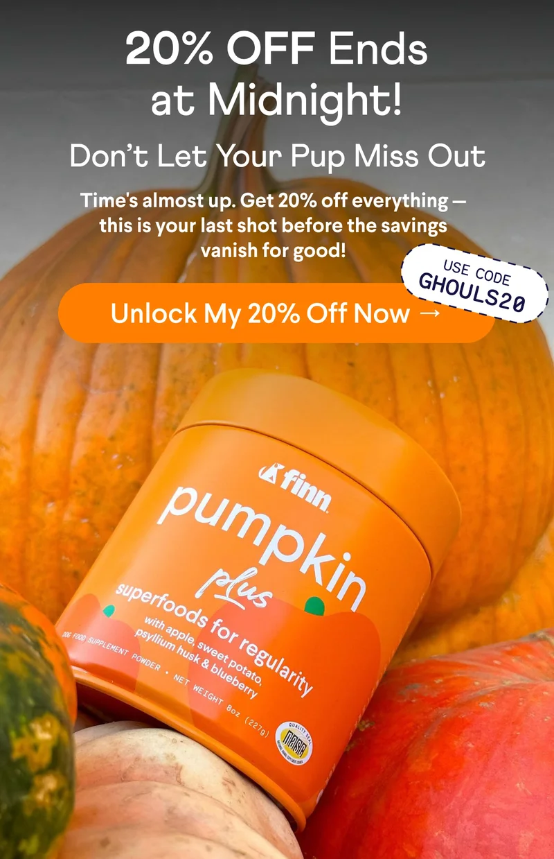 Text: 20% OFF Ends at Midnight! Don’t Let Your Pup Miss Out Time's almost up. Get 20% off everything —this is your last shot before the savings vanish for good! CTA: Unlock My 20% Off Now → Use Code GHOULS20. Photo: Pumpkin Plus tin resting on pumpkins