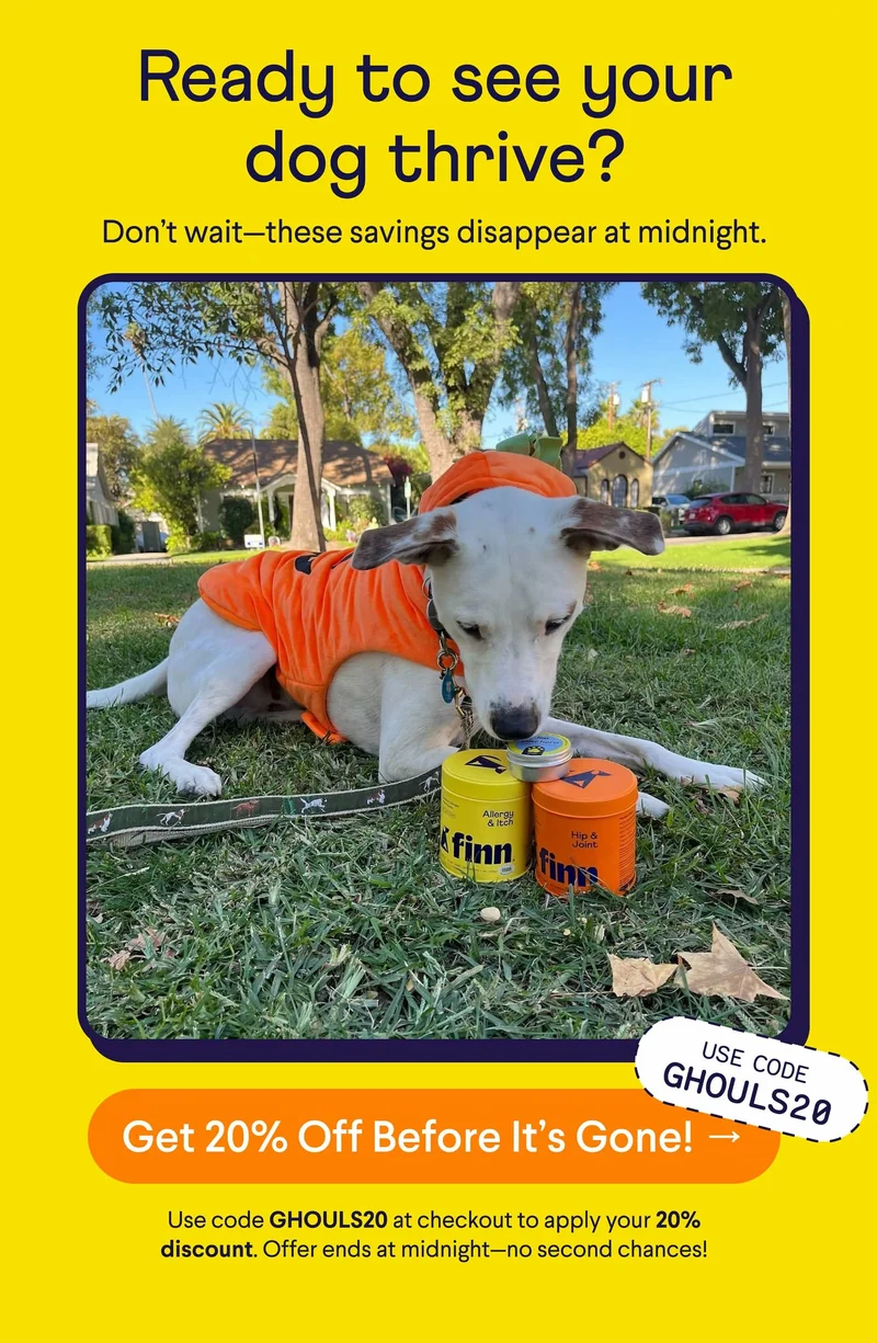 Text: Ready to see your dog thrive? Don’t wait—these savings disappear at midnight. CTA: Get 20% Off Before It’s Gone! → Use code GHOULS20 at checkout to apply your 20% discount. Offer ends at midnight—no second chances! Photo: Mixed breed dog wearing pumpkin costume with Finn Allergy & Itch, Hip & Joint, and Paw Hero