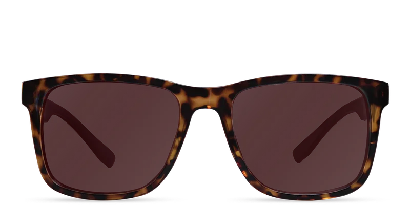 Image of Tilden - Polarized