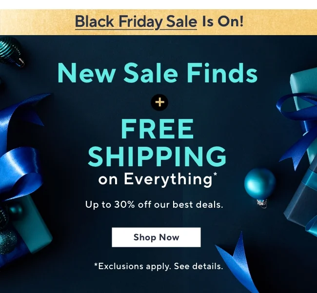 Black Friday Sale