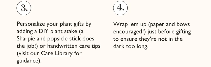 Tip #3: Personalize your gift with a DIY plant stake or handwritten care tips from our Care Library. Tip #4: Wrap plants up just before gifting to ensure it's not in the dark too long.