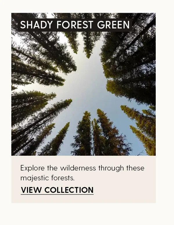 Shady Forest Green | Explore the wilderness through these majestic forests. | View Collection