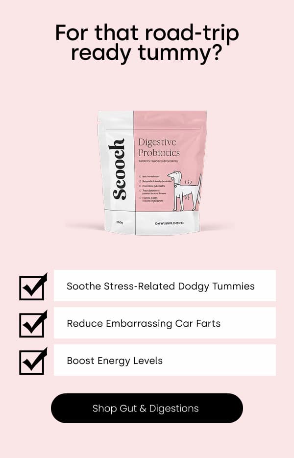 Shop Gut & Digestions
