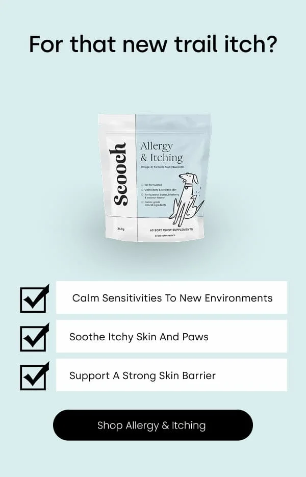 Shop Allergy & Itching