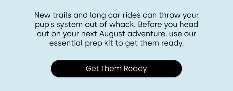 Get Them Ready