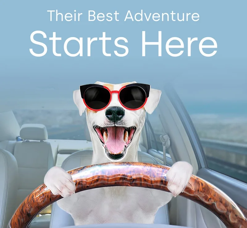 Their Best Adventure Starts Here
