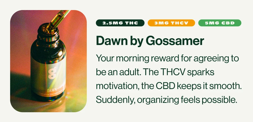 DAWN BY GOSSAMER