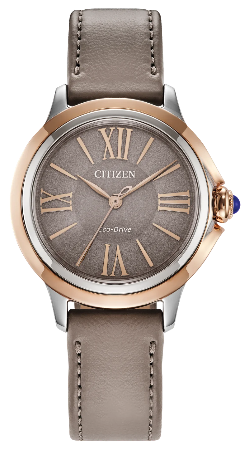 Image of Citizen L Ceci