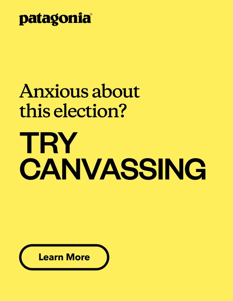 Patagonia. Anxious about this election? Try canvassing.