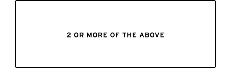 2 OR MORE OF THE ABOVE
