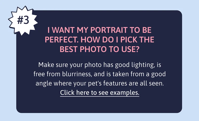 Q. I want my portrait to be perfect. How do I pick the best photo to use? A. Make sure your photo has good lighting, is free from blurriness, and is taken from a good angle where your pet's features are all seen. Click here to see examples.