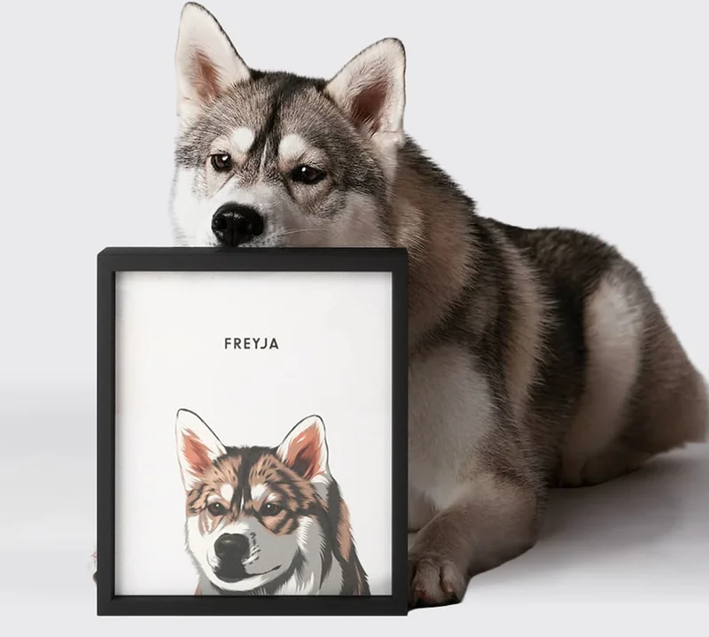 Modern pet portrait