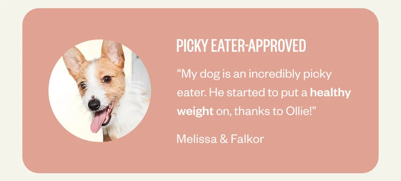 Pick eater approved
