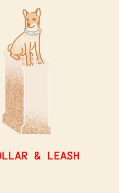 Collar & Leash
