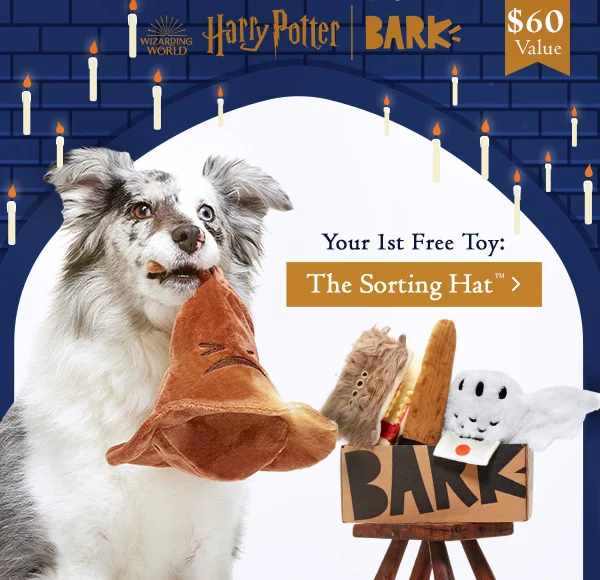 Good Dog Deal: Free Toy In Every Box