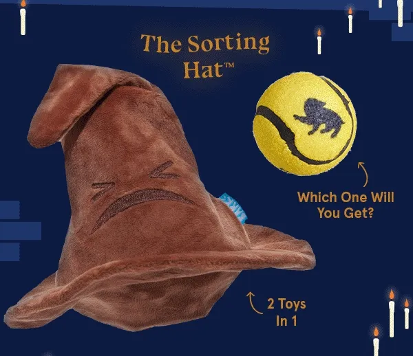 Good Dog Deal: Free Toy In Every Box