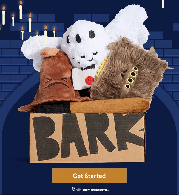 Good Dog Deal: Free Toy In Every Box