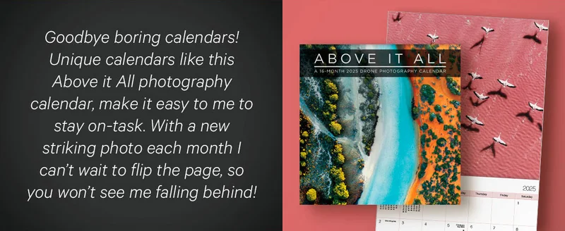 Above it All Wall Calendar