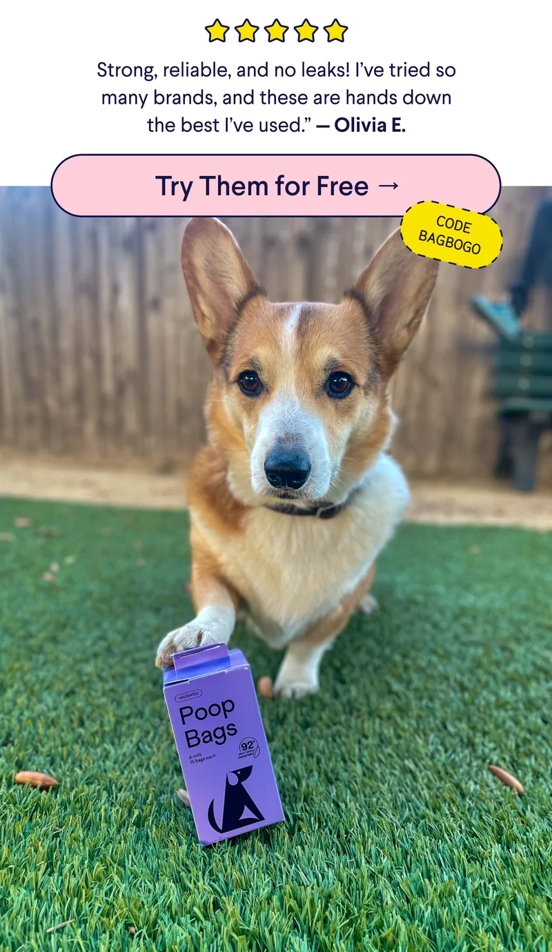 5-Star Customer Review: "Strong, reliable, and no leaks! I’ve tried so many brands, and these are hands down the best I’ve used.” — Olivia E. CTA: Try Them For Free –> CODE: BAGBOGO