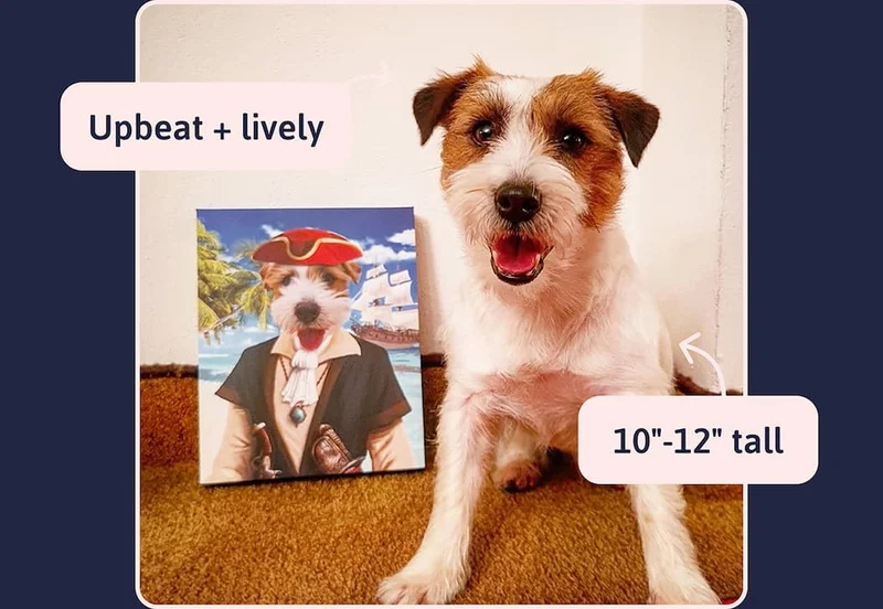Upbeat + lively / 10"-12" tall