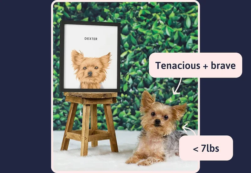 Tenacious + brave / < 7lbs