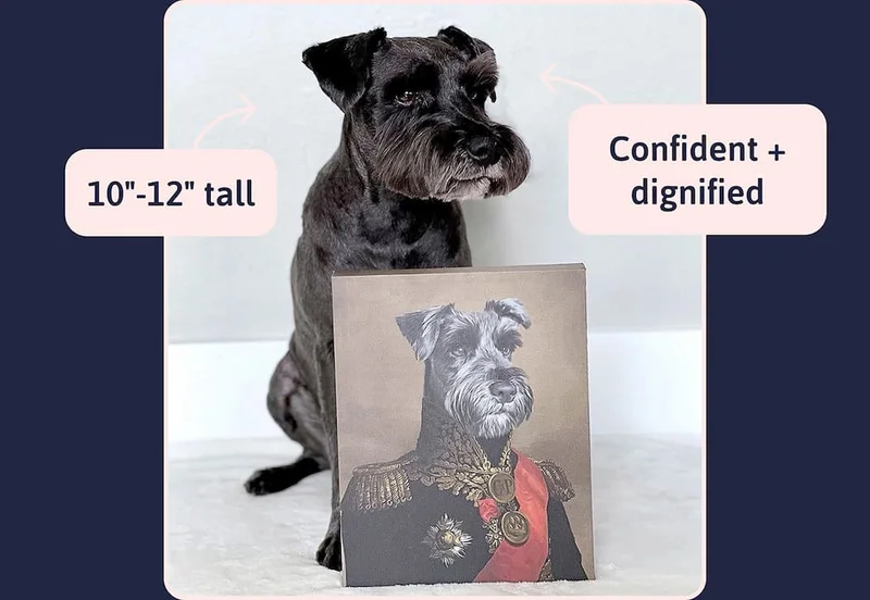 Confident + dignified / 10"-12" tall