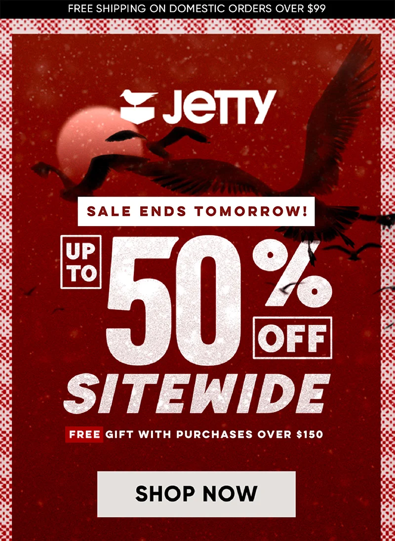 Black Friday Sale