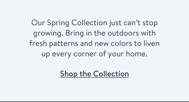 Shop the collection