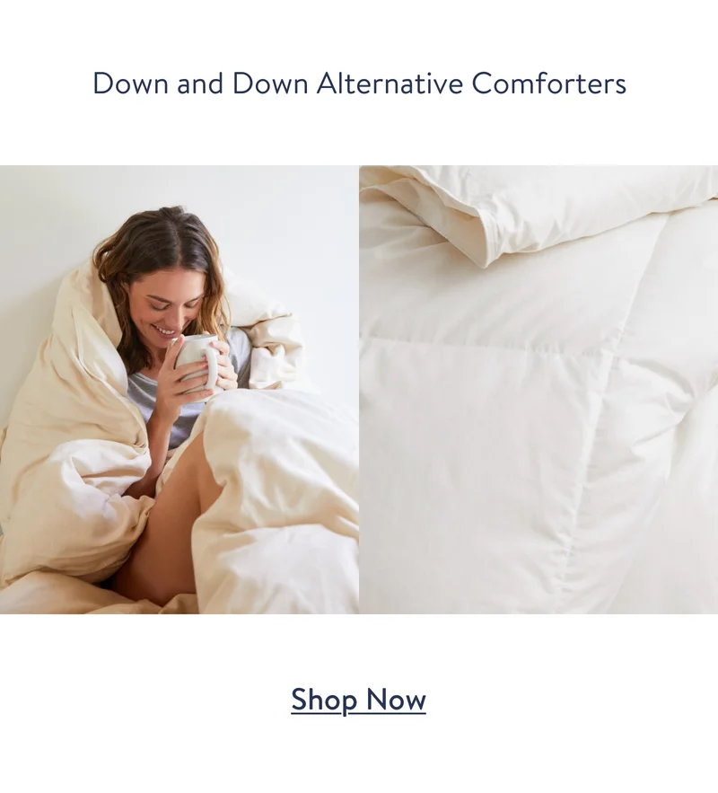 Down and Down Alternative Comforters