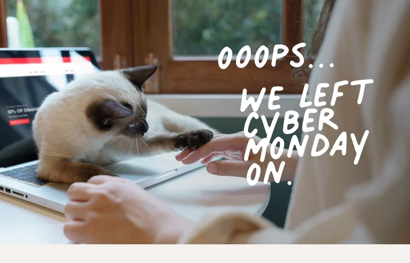 We Left Cyber Monday On