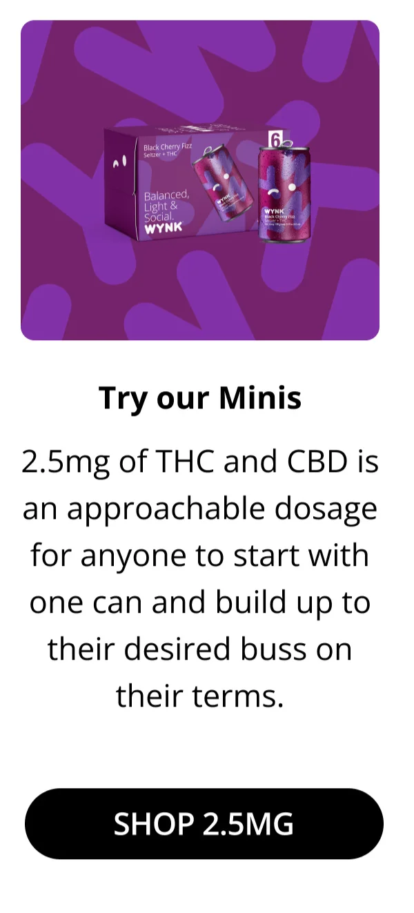 Try Our Minis