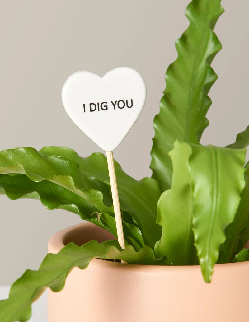 Image of Ceramic Gift Message Pop