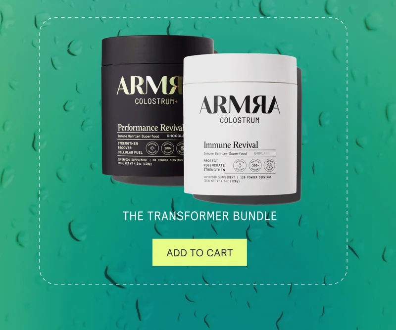 The Transformer Bundle