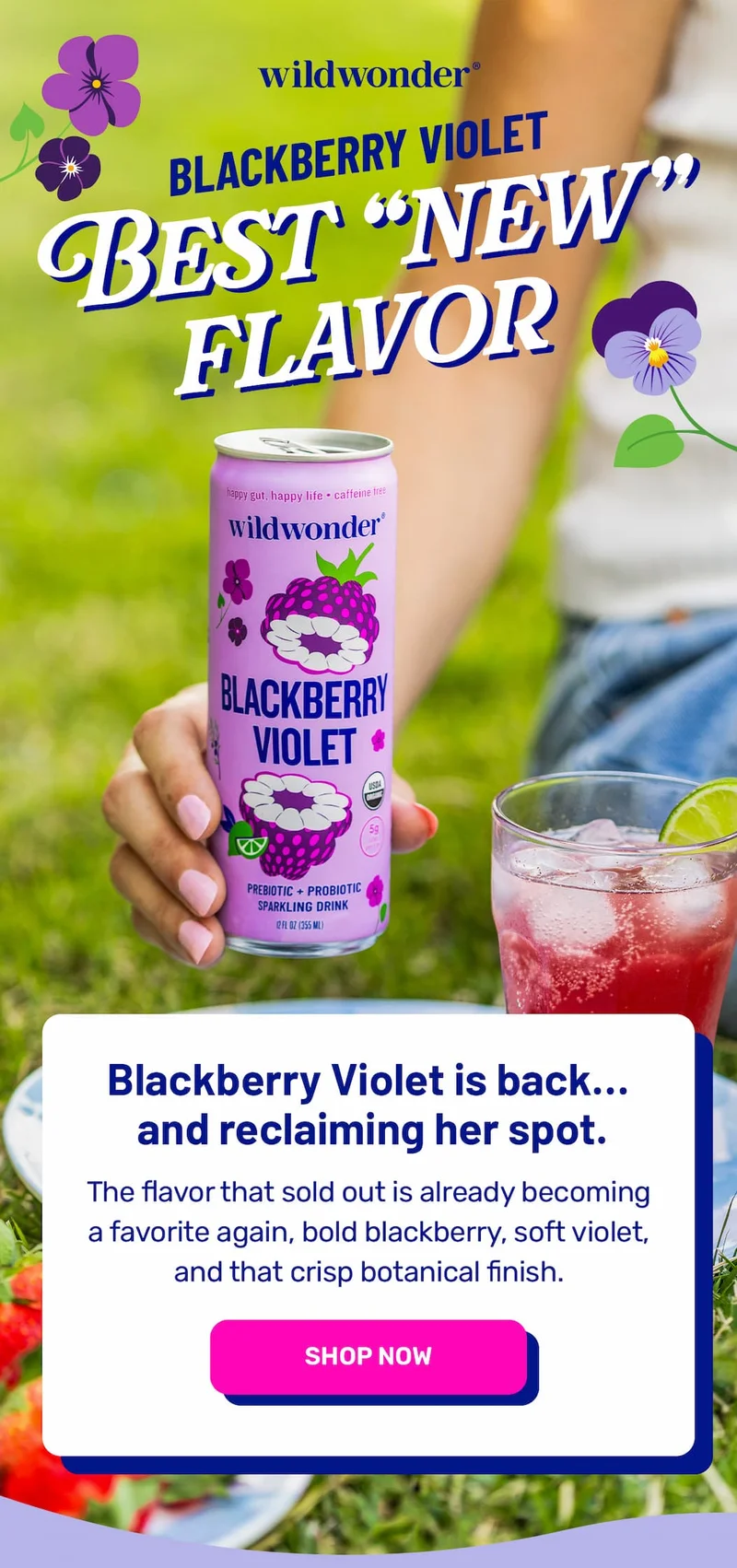 Meet Blackberry Violet
