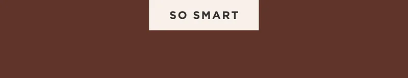 SO SMART SO SMART
