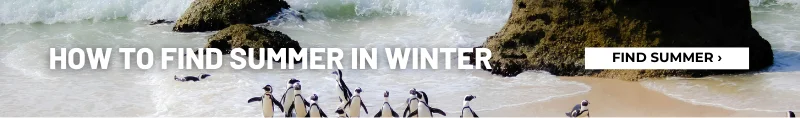 How to find summer in winter