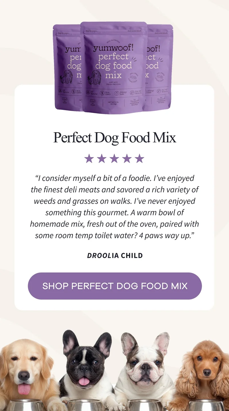 Perfect Dog Food Mix | “I consider myself a bit of a foodie. I’ve enjoyed the finest deli meats and savored a rich variety of weeds and grasses on walks. I’ve never enjoyed something this gourmet. A warm bowl of homemade mix, fresh out of the oven, paired with some room temp toilet water? 4 paws way up.” Droolia Child | SHOP PERFECT DOG FOOD MIX