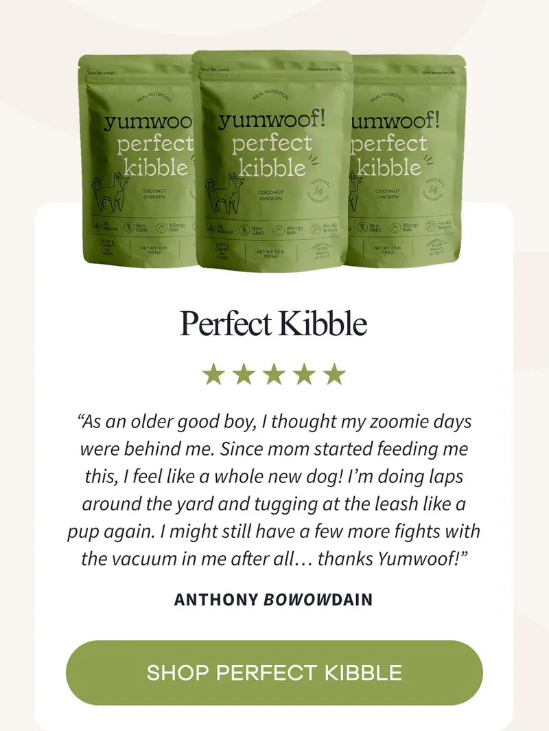Perfect Kibble | “As an older good boy, I thought my zoomie days were behind me. Since mom started feeding me this, I feel like a whole new dog! I’m doing laps around the yard and tugging at the leash like a pup again. I might still have a few more fights with the vacuum in me after all… thanks Yumwoof!” Anthony Bowowdain | SHOP PERFECT KIBBLE