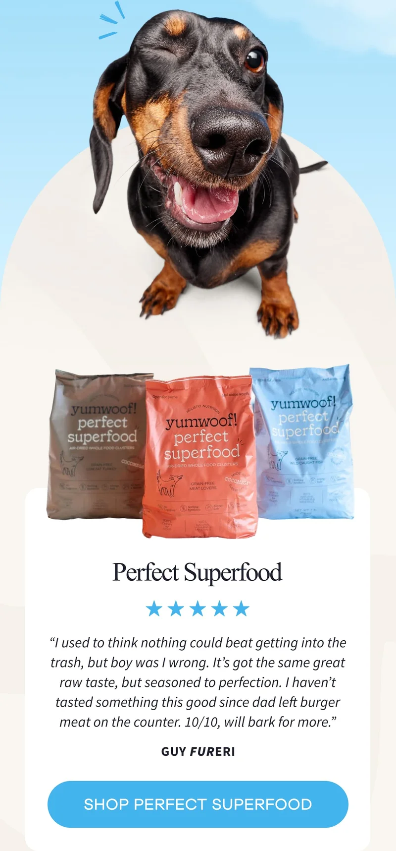 Perfect Superfood | “I used to think nothing could beat getting into the trash, but boy was I wrong. It’s got the same great raw taste, but seasoned to perfection. I haven’t tasted something this good since dad left burger meat on the counter. 10/10, will bark for more.” Guy Fureri | SHOP PERFECT SUPERFOOD