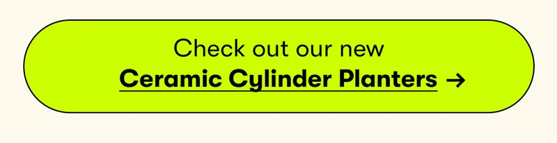CTA BUTTON: Check out our new ceramic cylinder planters