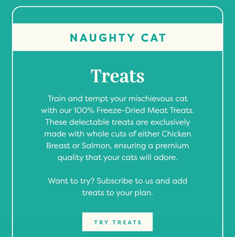 Naughty cat
