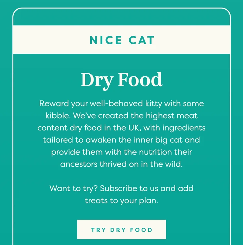 Nice cat