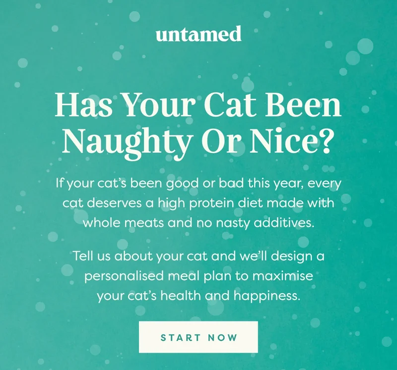 Has your cat been naughty or nice?