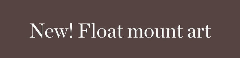 New! Float Mount Art