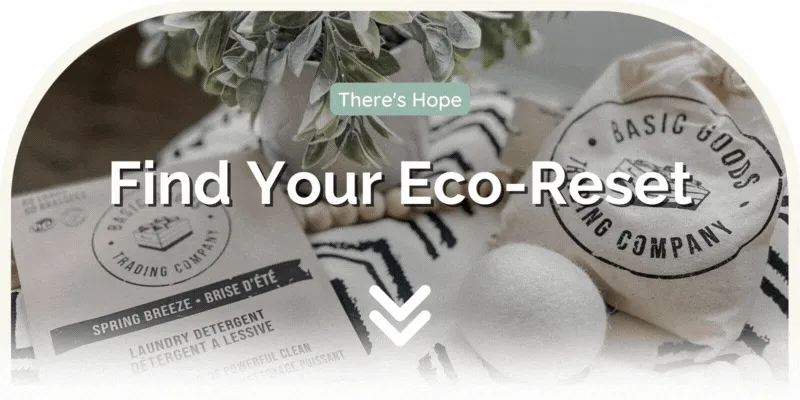 Eco-Collective Company